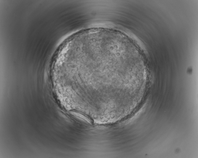 X0000116590830201001211324