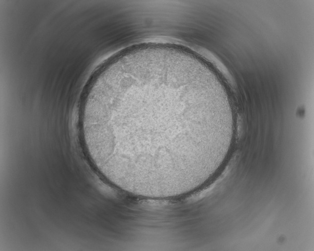 X0000116590831201001211324