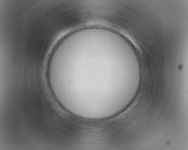 X0000116590832201001211324