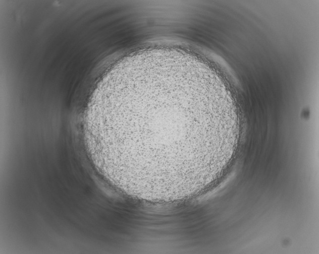 X0000116590833201001211324