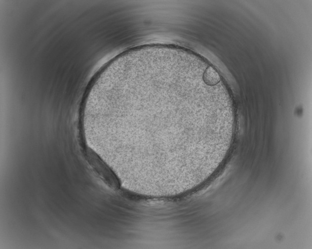 X0000116590834201001211324