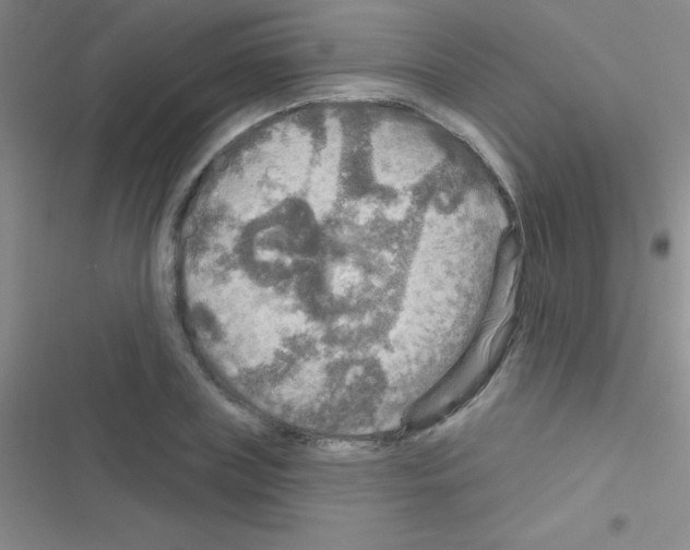 X0000116590835201001211324