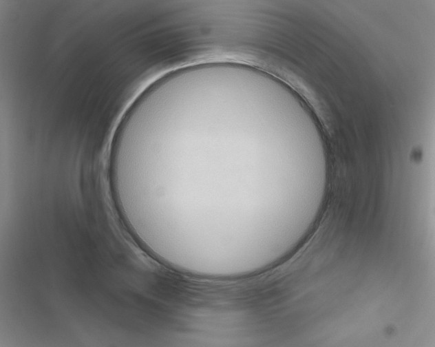 X0000116590836201001211324