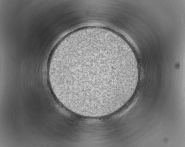 X0000116590837201001211324