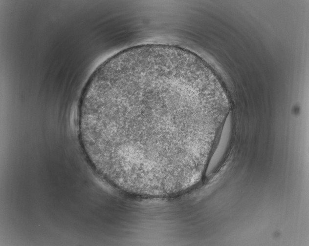 X0000116590838201001211324