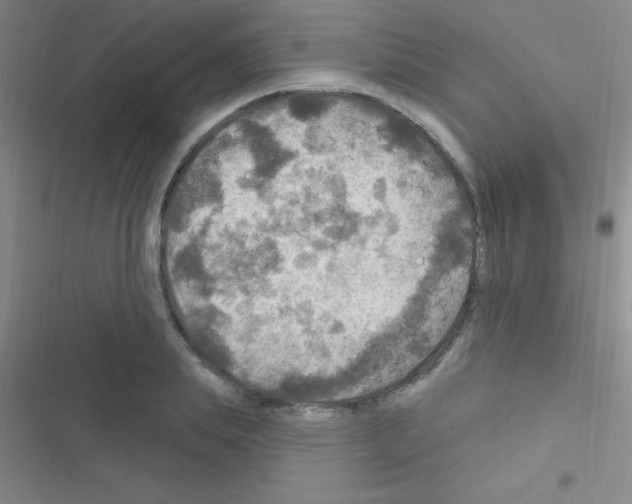 X0000116590839201001211324