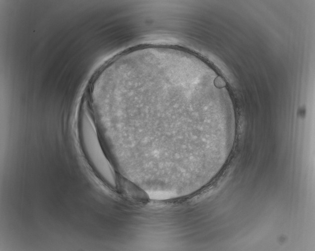 X0000116590840201001211324