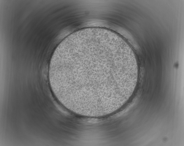 X0000116590841201001211324