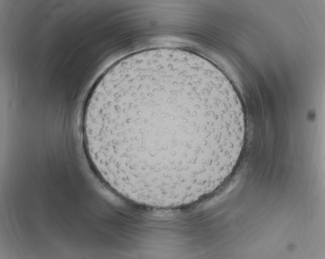 X0000116590843201001211324