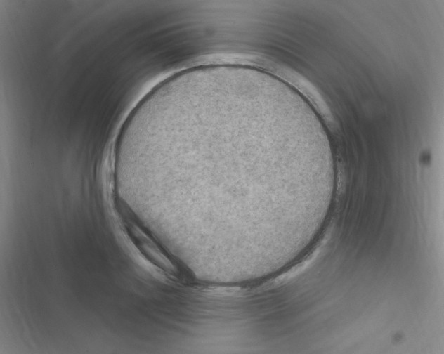 X0000116590844201001211324