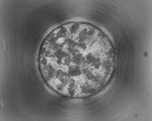 X0000116590845201001211324