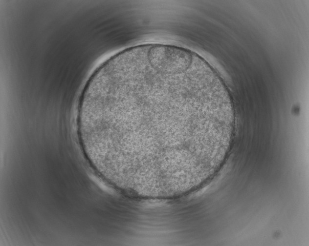 X0000116590846201001211324