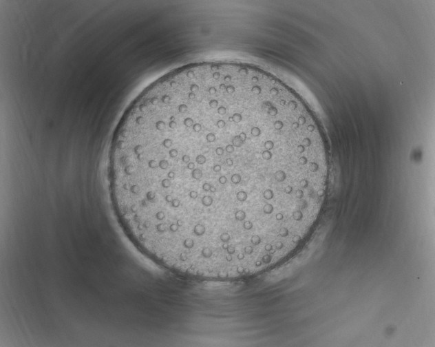 X0000116590847201001211324