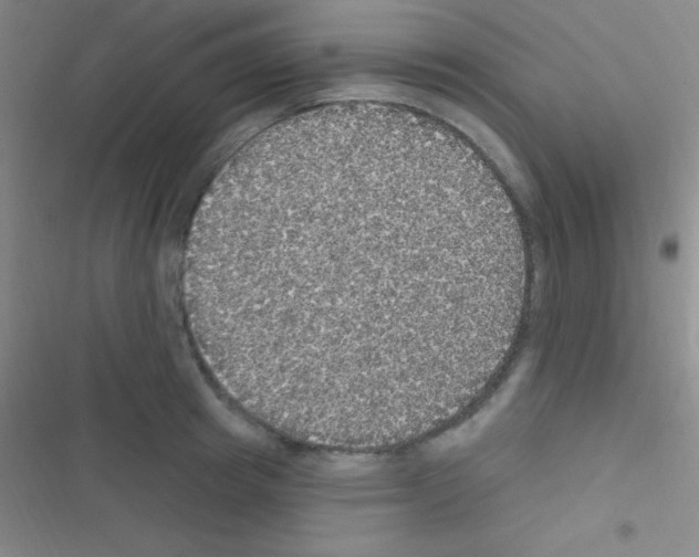 X0000116590849201001211324