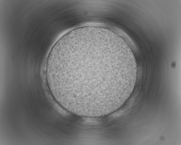 X0000116590852201001211324