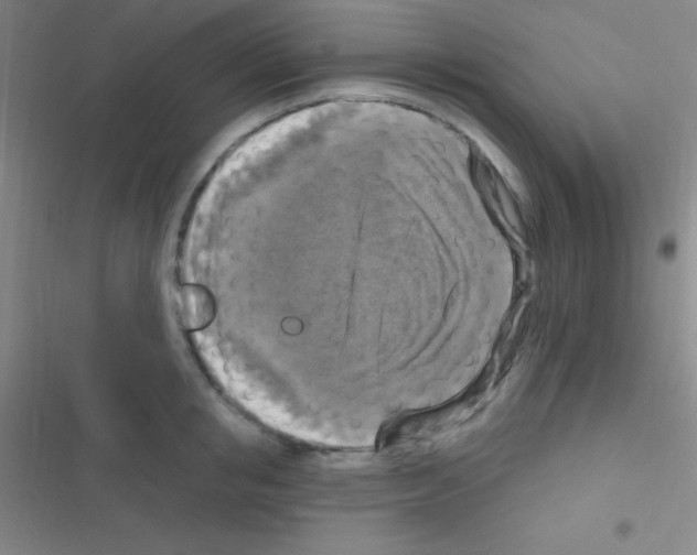 X0000116590853201001211324