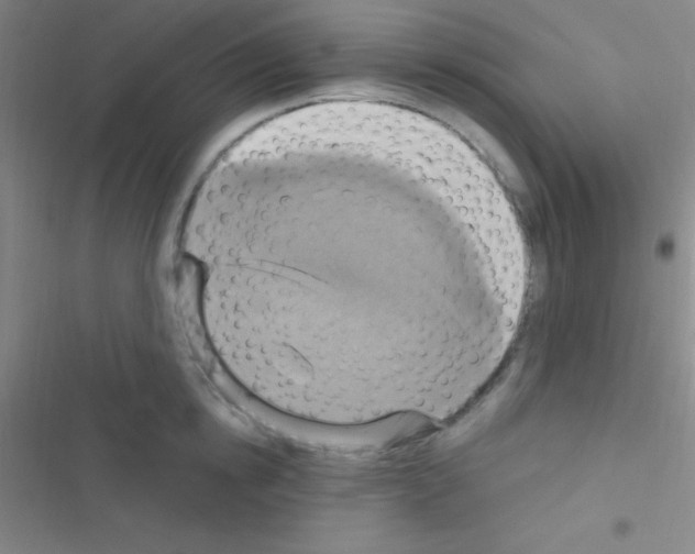 X0000116590854201001211324