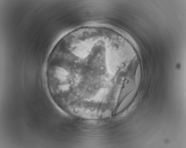 X0000116590855201001211324