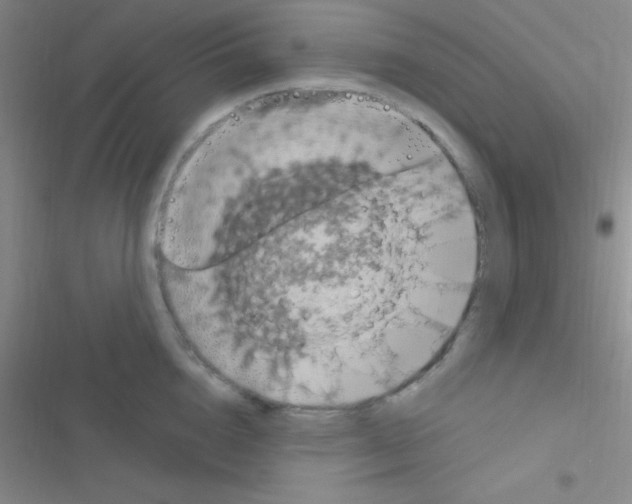 X0000116590856201001211324