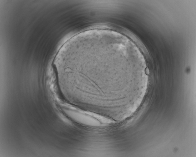 X0000116590858201001211324