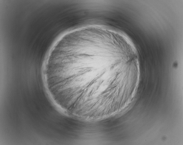 X0000116590859201001211324