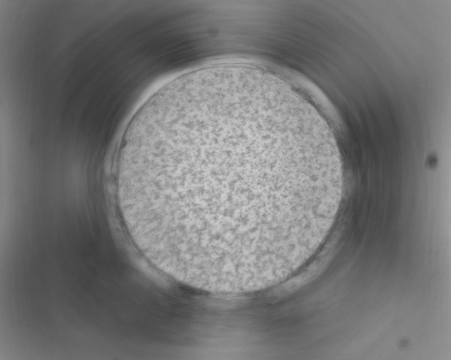 X0000116590860201001211324