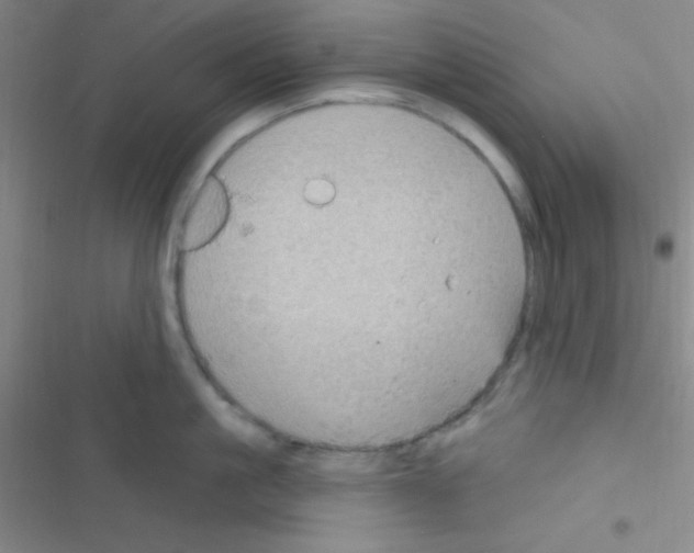 X0000116590861201001211324