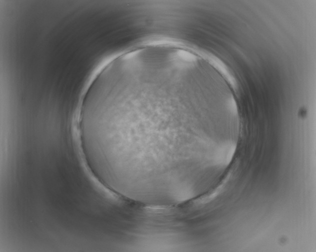 X0000116590863201001211324