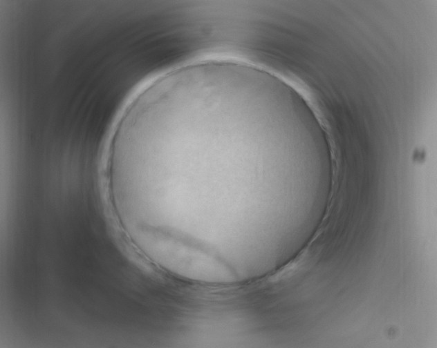 X0000116590864201001211325