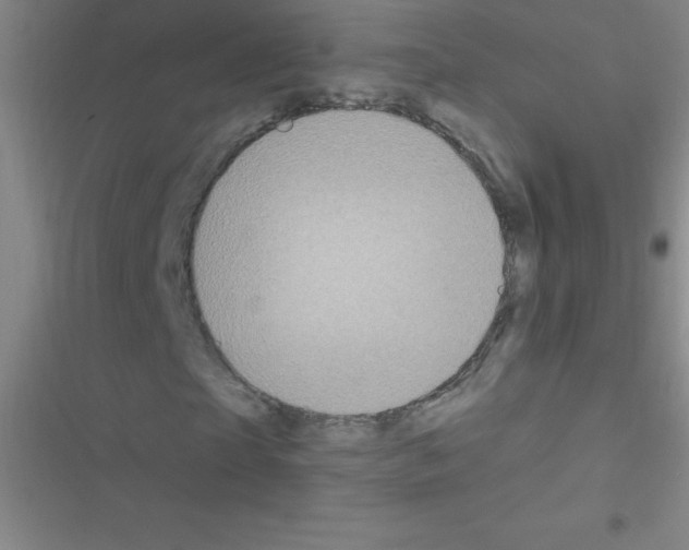 X0000116590865201001211324