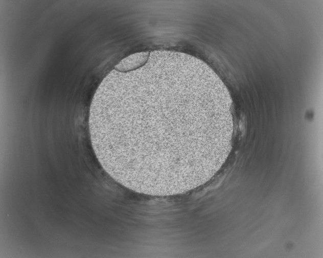 X0000116590867201001211324