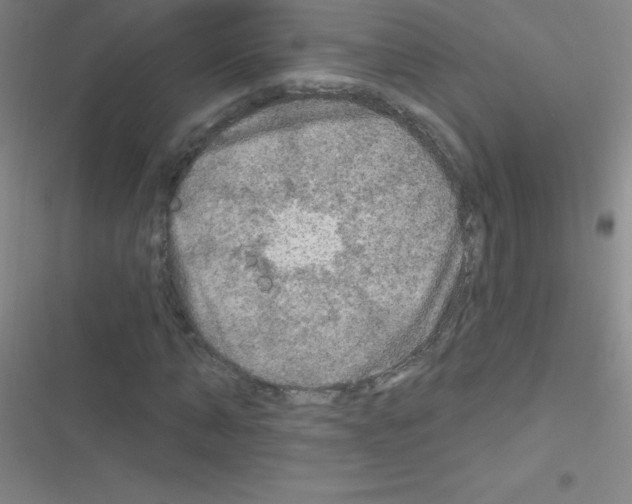 X0000116590870201001211324