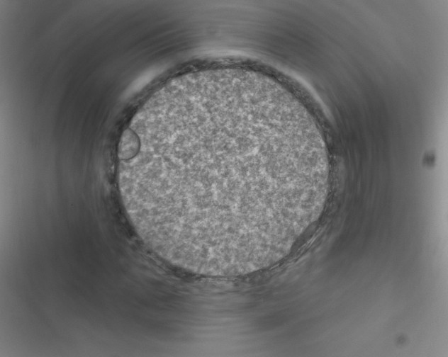 X0000116590871201001211324