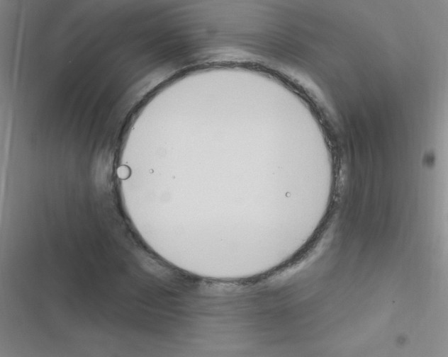 X0000116590873201001211324