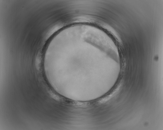 X0000116590874201001211324