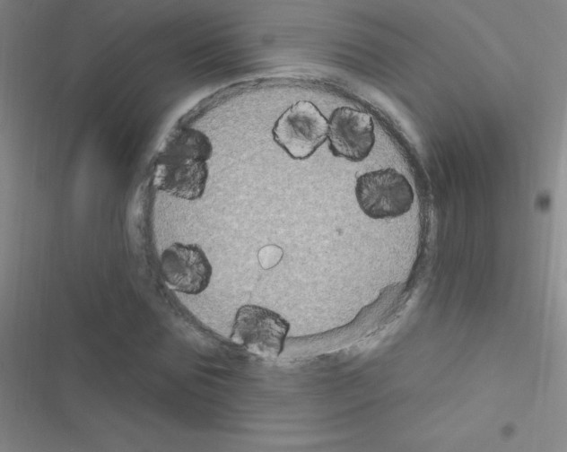 X0000116590875201001211324