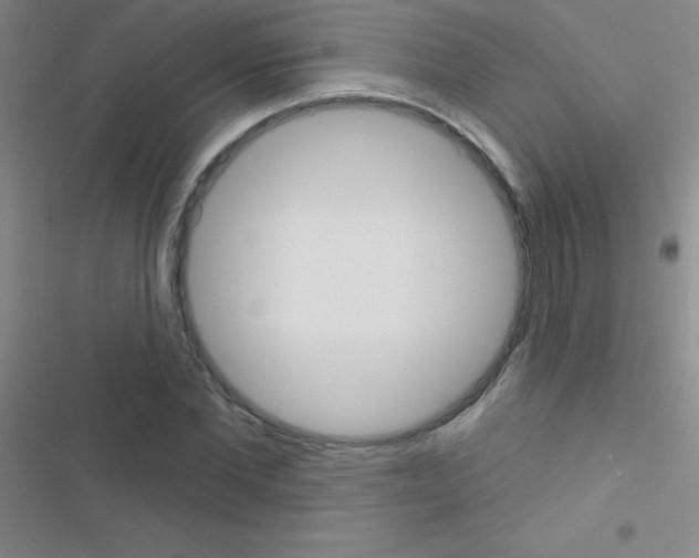 X0000116590877201001211324