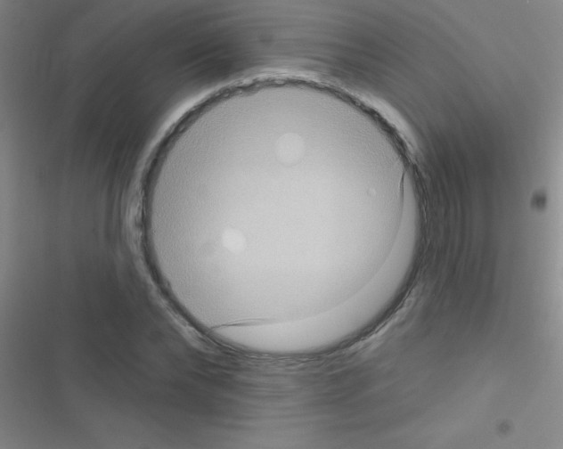 X0000116590878201001211324