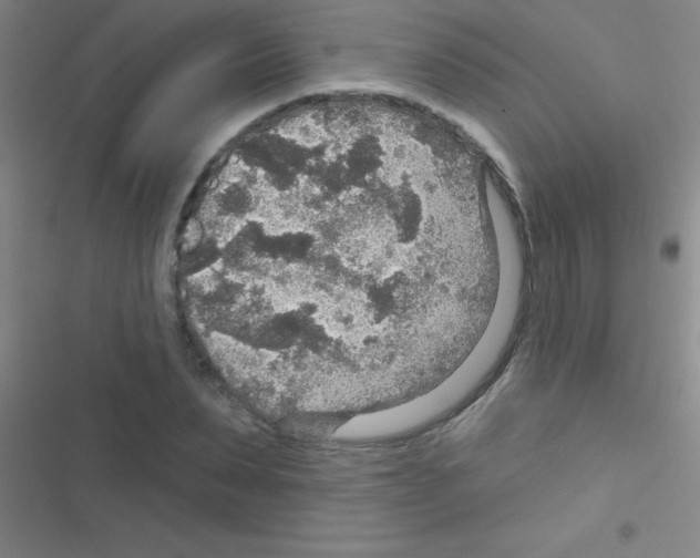 X0000116590879201001211324