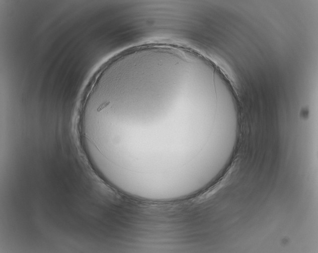 X0000116590880201001211324