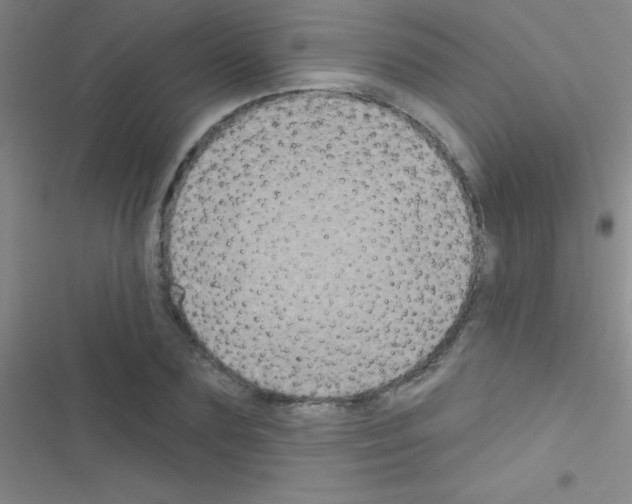 X0000116590883201001211324