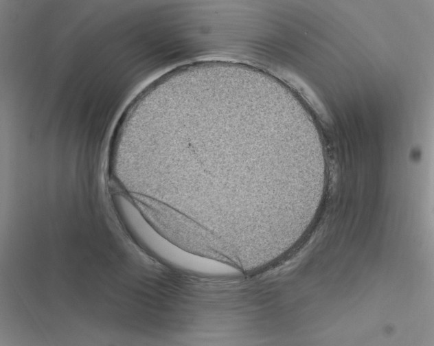 X0000116590884201001211324