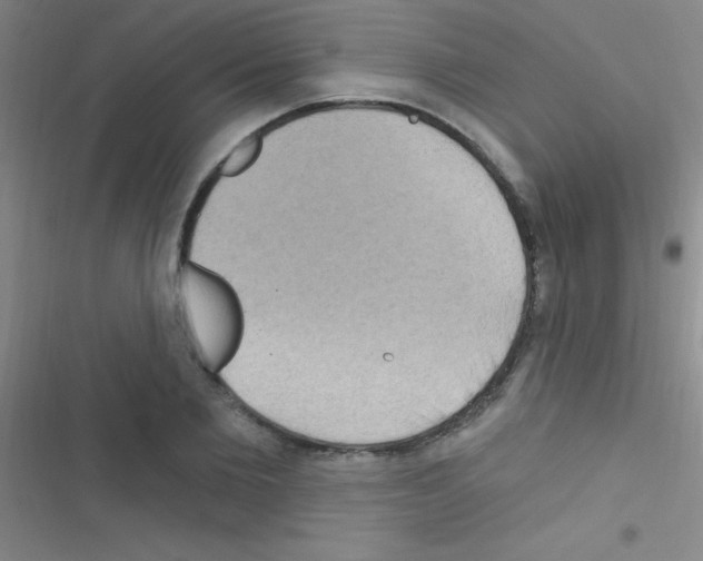 X0000116590885201001211324