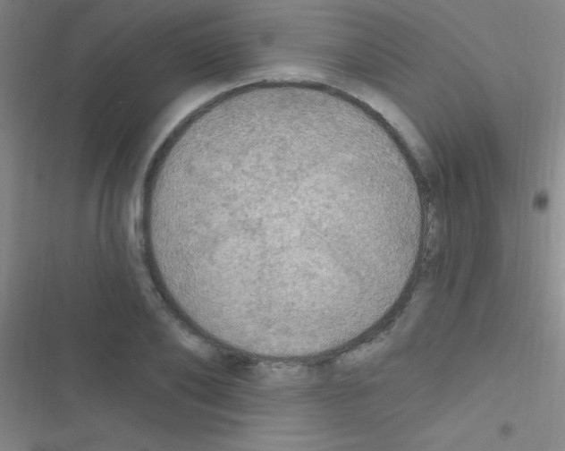 X0000116590886201001211324