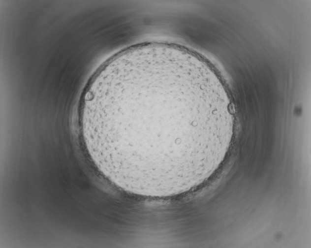 X0000116590887201001211324