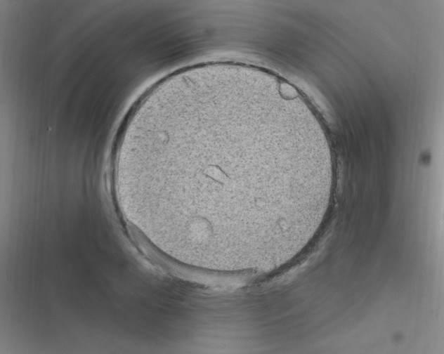 X0000116590888201001211324