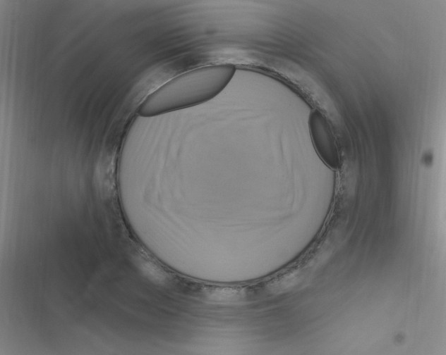 X0000116590889201001211324