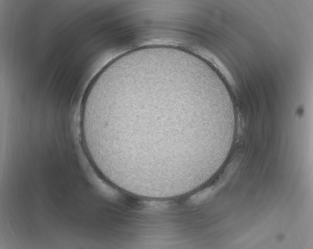 X0000116590890201001211324