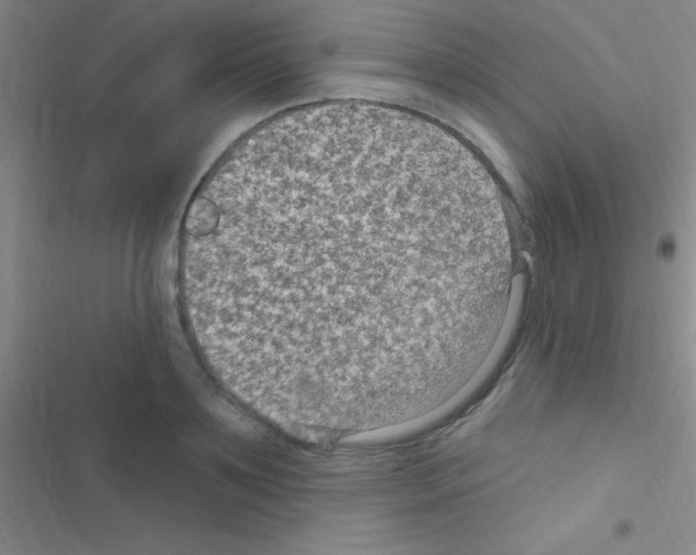 X0000116590891201001211324