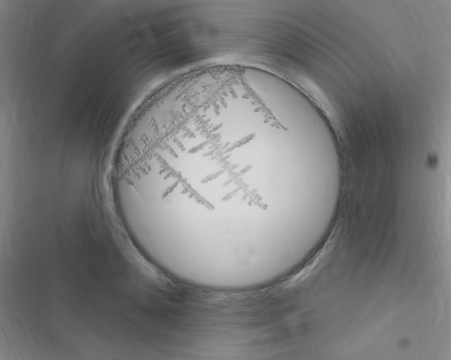 X0000116590892201001211323